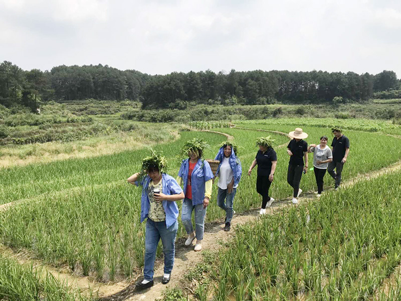 清清粽香悠悠端阳&mdash;&mdash;永利yl23411子公司三海兰陵职工庆端午团建下乡活动